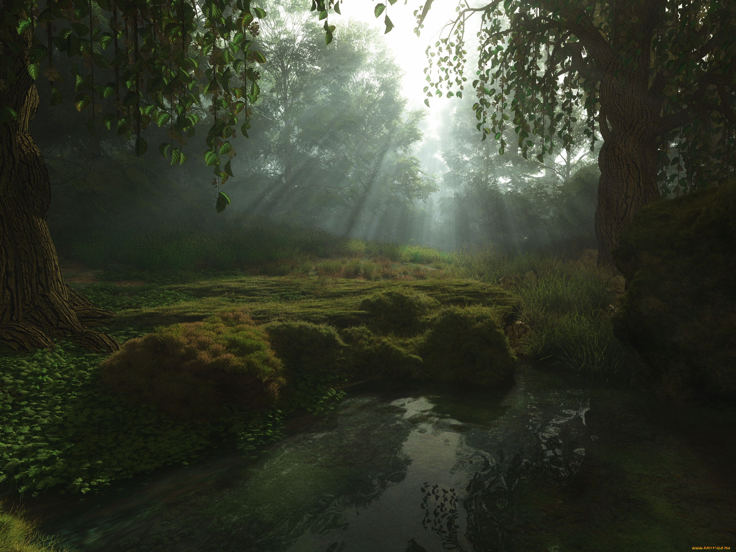 3 ,  , nature, , , 
